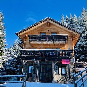 Вилла Chalet Gamsbock Koralpe Elsenbrunn Exterior photo