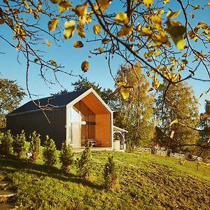 Вилла Scandinave Chalet Bran Зэрнешти Exterior photo