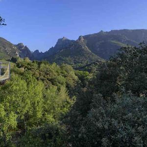 Bed and Breakfast Farniente A Berlou Exterior photo