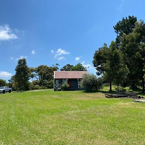 Отель Cosy Cabin Langwarrin Exterior photo