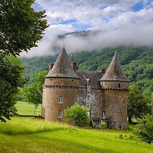 Bed and Breakfast Chateau De Longevergne Anglards-de-Salers Exterior photo