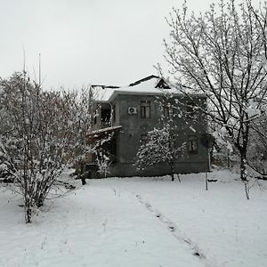 Вилла Gabala Dreams Exterior photo