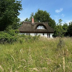 Вилла Kate Unter Reet Im Gruenen Buchholz  Exterior photo