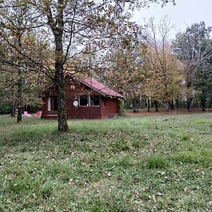 Вилла Chalet En Foret, Brame Du Cerf Valpuiseaux Exterior photo