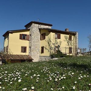 Вилла Agriturismo Terra E Sapori Campodipietra Exterior photo