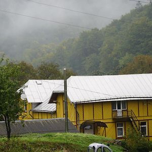 Отель Дім з видом на гори. Vizhenka Exterior photo