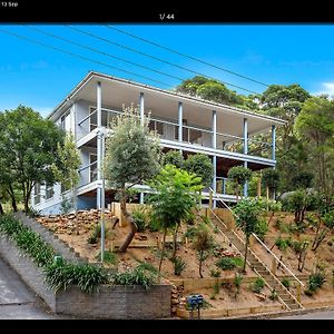 Вилла Treetop Beach House 3 Min Walk To Surf Beach Coledale Exterior photo