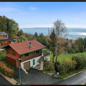 Вилла Chalet Avec Vue Panoramique Alpes Et Lac Mauborget Exterior photo