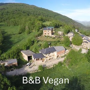 Bed and Breakfast Cal Calau Vega Планолес Exterior photo