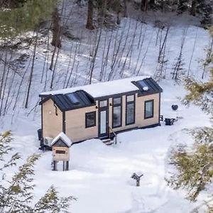 Вилла Thistle House At Camp Greenwood Vermont With Sauna Chester Exterior photo