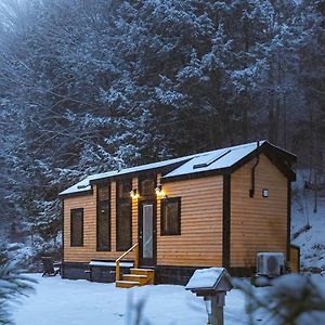 Вилла Sage House At Camp Greenwood Vermont With Sauna Chester Exterior photo