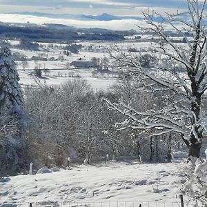 Вилла La Verriere Du Sancy Picherande Exterior photo