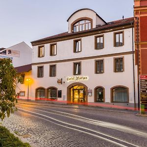 Hotel Florian Седльчаны Exterior photo