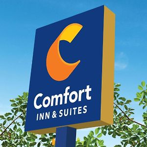 Comfort Inn & Suites Уэйко Exterior photo