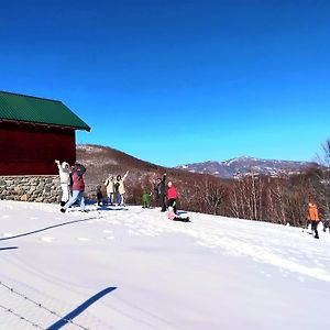 Eco Village Coric Мойковац Exterior photo