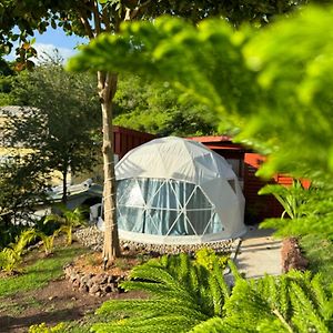 Отель The Secret Garden - Glamping Grenada Morne Rouge Exterior photo