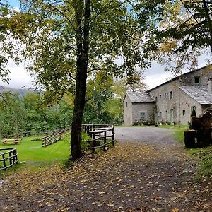 Апартаменты Agriturismo Al Castagno Абетоне Exterior photo