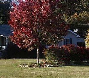 Cozy Southern Charm Bed And Breakfast Чаттануга Exterior photo