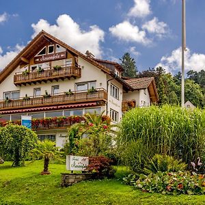 Hotel Neuenfels Баденвайлер Exterior photo