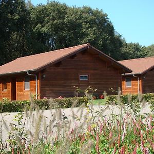 Вилла Chalet De Voetpomp Boekel Exterior photo