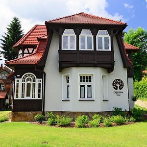 Villa Debowa Поляница-Здруй Exterior photo