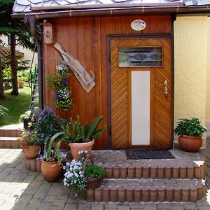 Ferienhaus Erzgebirge "An Der Trebe" Mit Kamin Und Sauna Нойхаузен Room photo