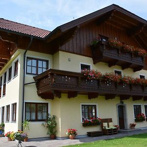 Appart Weisse Urlauben Am Wolfgangsee Санкт Гильген Exterior photo