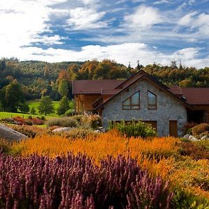 Bed and Breakfast Chambre D'Hotes La Forestiere Ле-Овальд Exterior photo