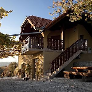 Vineyard Cottage Brodaric Метлика Exterior photo