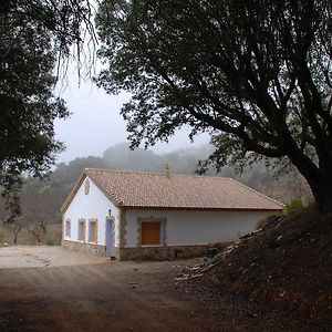 Casa Rural Las Encinas Марчена Exterior photo