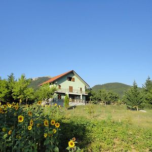 Bed and Breakfast Green House Морано-Калабро Exterior photo