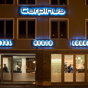 Hotel Carpinus Лёвен Exterior photo