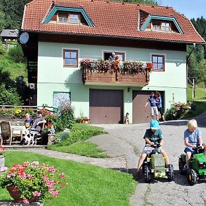 Вилла Schlintl-Hof Liebenfels Exterior photo