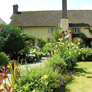 Bed and Breakfast Exmoor Owl & Hawk Centre Bossington Exterior photo