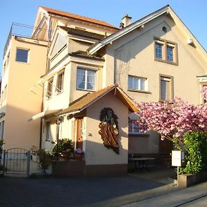 Bed and Breakfast Niros Bed & Breakfast Базель Exterior photo