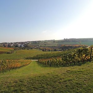 Отель Weingut Seck Dolgesheim Exterior photo