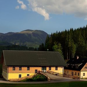 Ferienstadl - Hammerau Гестлинг-на-Ибсе Exterior photo