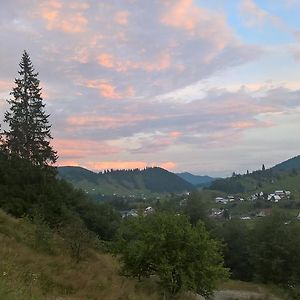 Отель Vila Bucovina Ciocanesti Exterior photo