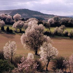 Вилла Finca El Cercado Бальтанас Exterior photo