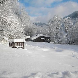 Вилла Chalet Kukavica Ждениево Exterior photo