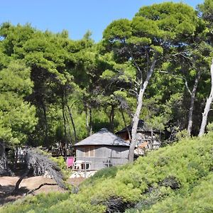 Отель Touring Club Italiano - Isole Tremiti Сан-Домино Exterior photo