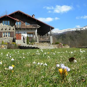 Вилла Chalet Kukavica Ждениево Exterior photo