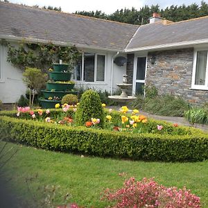 Bed and Breakfast Estuary View Farm Кингсбридж Exterior photo