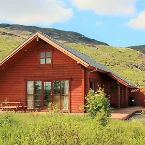 Вилла Geysir - Modern Log Cabin Рейкхольт Exterior photo