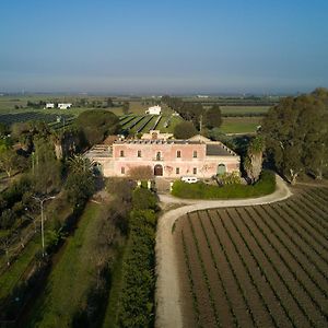 Masseria Mazzetta Salento Corte Del Falconiere B&B Саличе-Салентино Exterior photo