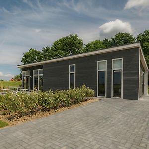 Modern Chalet At The Edge Of A Forest Near The Oosterschelde Вемелдинге Exterior photo