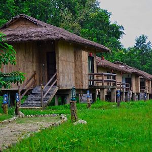 Temple Tiger Green Jungle Resort Kawasoti Room photo