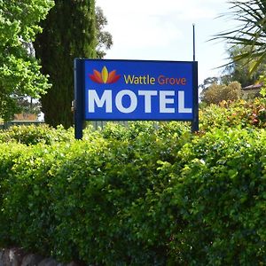 Wattle Grove Motel Мэриборо Exterior photo