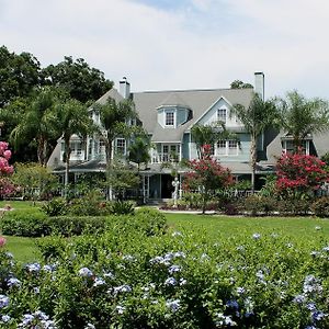 Bed and Breakfast Heron Cay Lakeview Bed & Breakfast Маунт-Дора Exterior photo