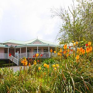 Bed and Breakfast Matakohe House Exterior photo